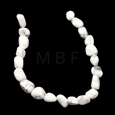 Natural Howlite Beads Strands G-C286-A20-1