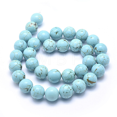 Natural Magnesite Beads Strands TURQ-G148-07-12mm-1