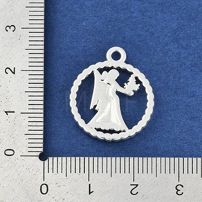 Twelve Constellations Alloy Pendants PALLOY-Q006-01B-S-1