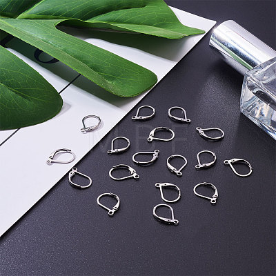 304 Stainless Steel Leverback Earring Findings X-STAS-L190-14S-1