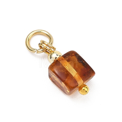 Natural Amber Pendants PALLOY-JF05273-1