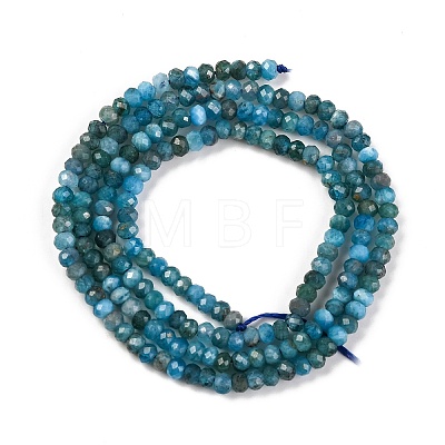 Natural Apatite Beads Strands G-F770-D09-02B-1