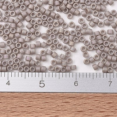 MIYUKI Delica Beads LS-SEED-J020-DB2305-1