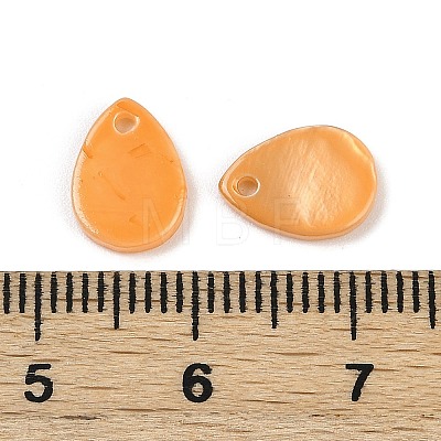 Spray Painted Natural Freshwater Shell Teardrop Charms SHEL-K006-47D-1