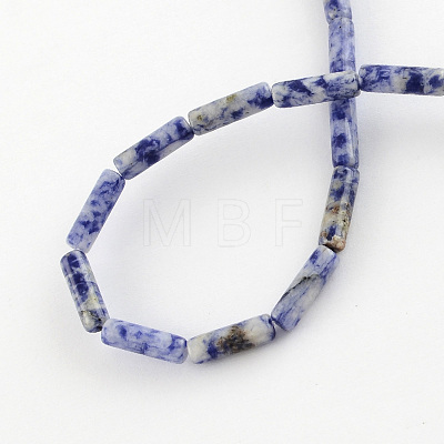 Natural Blue Spot Gemstone Beads Strands G-R181-16-1
