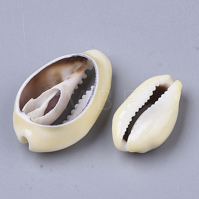 Natural Cowrie Shell Beads X-SSHEL-N034-28-1