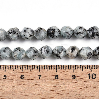 Dyed Natural Sesame Jasper Beads Strands G-T139-8mm-47J-1