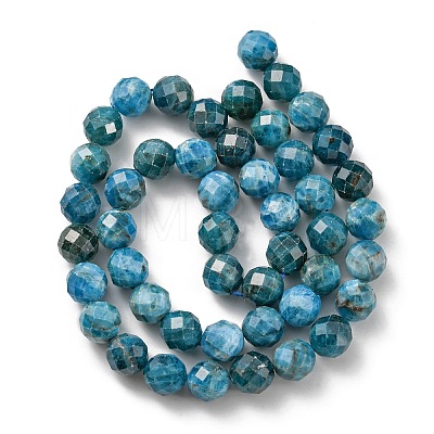 Natural Apatite Beads Strands G-G927-32-8MM-1