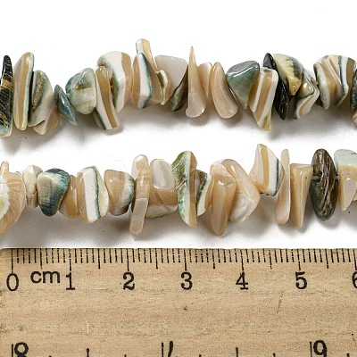 Natural Seashell Shell Beads Strands SSHEL-H072-07-1