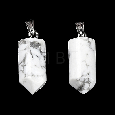 Natural Howlite Pointed Pendants G-E596-02P-04-1
