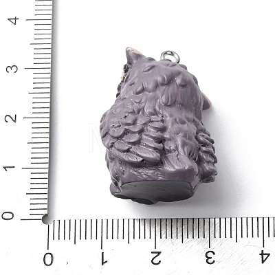 Opaque Resin Pendants RESI-A049-01B-1