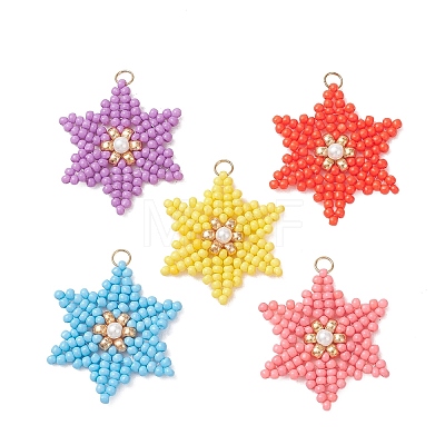 Glass Seed Beaded Pendants PALLOY-MZ01360-1