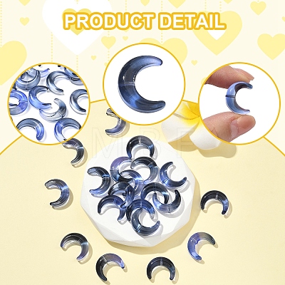 20Pcs Gradient Color Handmade Lampwork Beads LAMP-FS0001-18F-1