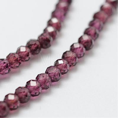 Natural Garnet Bead Strands G-P271-3mm-08-1