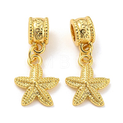 Tibetan Style Alloy European Dangle Charms PALLOY-F199-41G-1