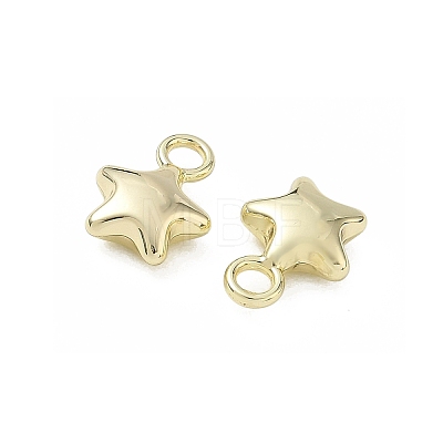 Alloy Charms AL-CBA5609-10G-A-1