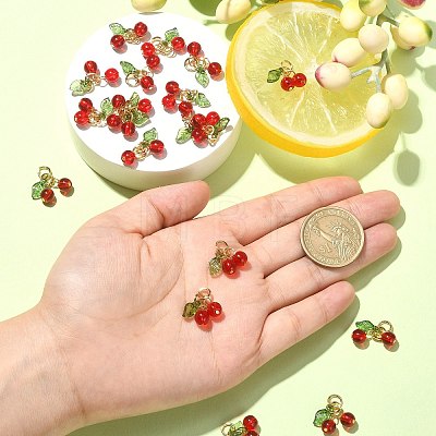 30Pcs Glass & Acrylic Beaded Charms PALLOY-CJ0003-03-1