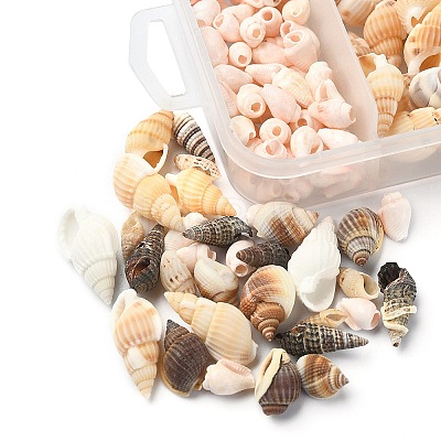 5 Styles Mixed Natural Shell Beads SSHEL-YW0001-04-1