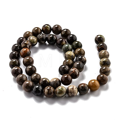 Round Natural Ocean Agate/Ocean Jasper Beads Strands G-O199-02B-1