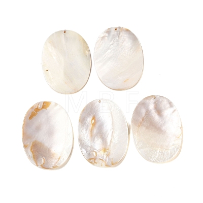 Natural Freshwater Shell Big Pendants SHEL-M021-06-1