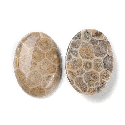 Natural Fossil Coral Cabochons G-J329-20-10x14mm-1