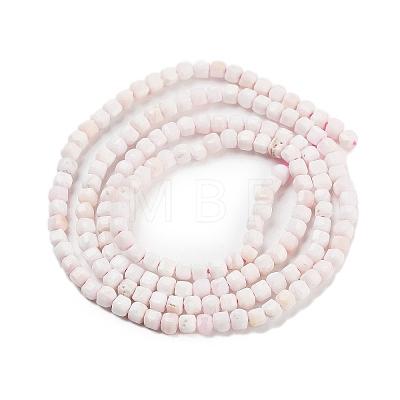 Natural Sea Shell Beads Strands G-H042-B33-01-1