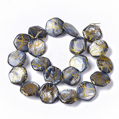 Drawbench Freshwater Shell Beads Strands X-SHEL-T014-013B-1