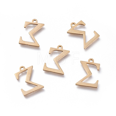 304 Stainless Steel Charms STAS-K215-21G-1