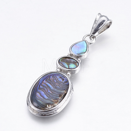 Abalone Shell/Paua Shell Pendants SSHEL-P014-19-1