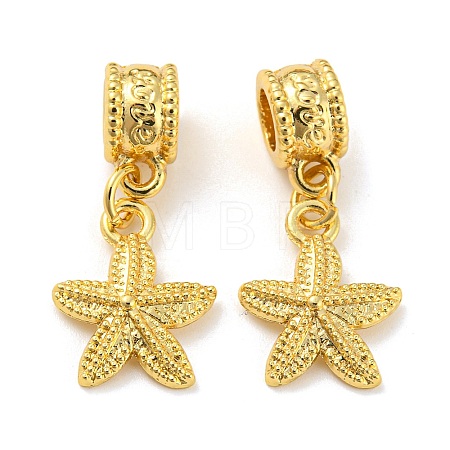 Tibetan Style Alloy European Dangle Charms PALLOY-F199-41G-1
