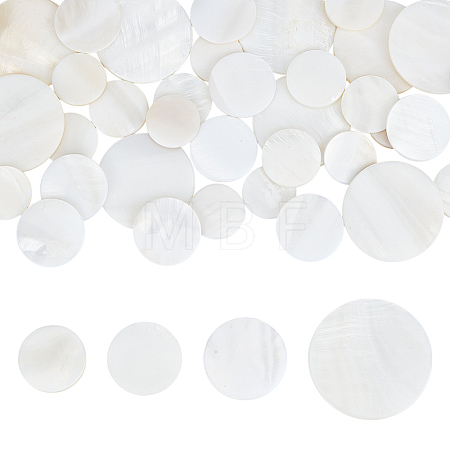 40Pcs 4 Styles Natural Freshwater Shell Cabochons SHEL-WR0001-11-1
