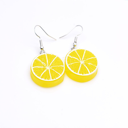 304 Stainless Steel & Resin Dangle Earrings WG56BB9-04-1
