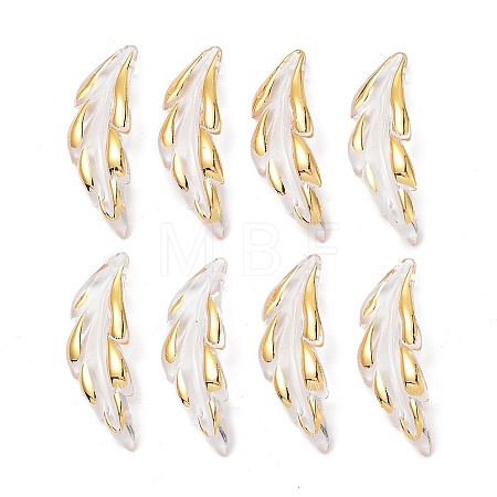 Transparent Acrylic Pendants TACR-D013-02-1