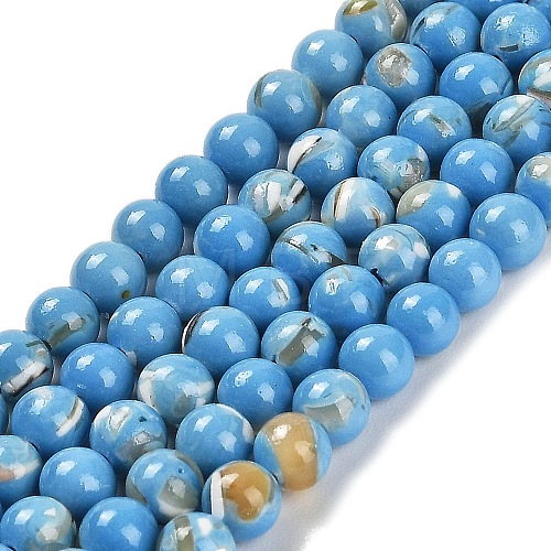 Assembled Synthetic Stone and Trochus Shell Beads Strands G-B128-08A-08-1