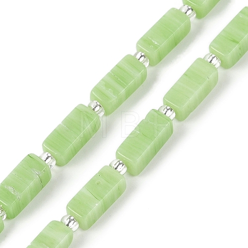 Handmade Lampwork Beads Strands LAMP-Q037-01B-05-1