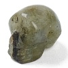 Natural Labradorite & Tiger Eye & Amethyst & Rose Quartz & Lapis Lazuli Beads G-B003-09-3