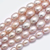 Natural Cultured Freshwater PearlBeads Strands PEAR-K003-21B-1
