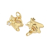Brass Micro Pave Cubic Zirconia Pendants KK-P325-13A-G-2