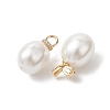 Brass Micro Pave Cubic Zirconia with Shell Pearl Pendants PALLOY-JF05349-3