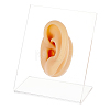 Soft Silicone Left Ear Displays Mould EDIS-WH0021-14B-1