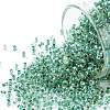 TOHO 11/0 Round Beads X-SEED-TR11-0699-1
