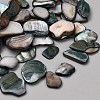 DIY Micro Landscape Making Kits RN-CBA80D0-01A-4