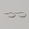 Brass Earring Hooks KK-WH0001-19P-3