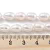 Natural Cultured Freshwater Pearl Beads Strands PEAR-P062-08H-5
