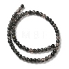 Natural Ice Obsidian Beads Strands X-G-P590-A03-6mm-02-5
