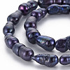 Natural Keshi Pearl Beads Strands PEAR-S021-155C-01-3