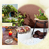 12Pcs 6 Styles Natural Abalone Shell Display Decorations DJEW-GA0001-69-5