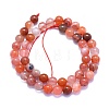 Natural South Red Agate Beads Strands G-K310-C03-8mm-2