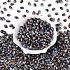 Glass Seed Beads SEED-T009-02N-1