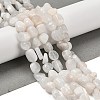 Natural Rainbow Moonstone Beads Strands G-P497-01E-69A-1